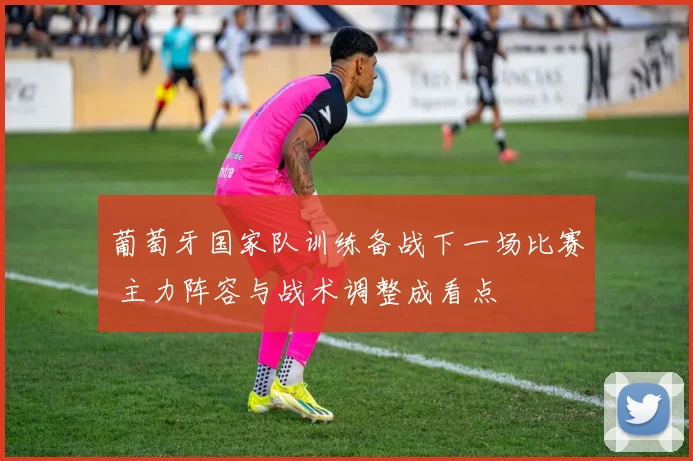 葡萄牙国家队训练备战下一场比赛 主力阵容与战术调整成看点