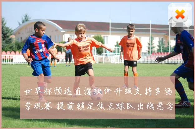 世界杯预选直播软件升级支持多场景观赛 提前锁定焦点球队出线悬念