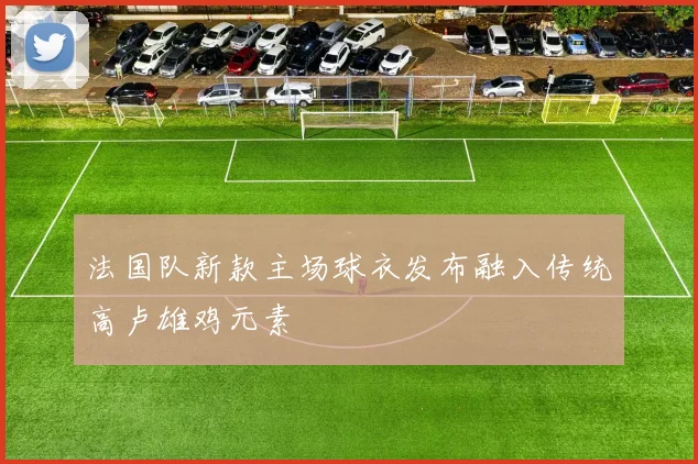 法国队新款主场球衣发布融入传统高卢雄鸡元素