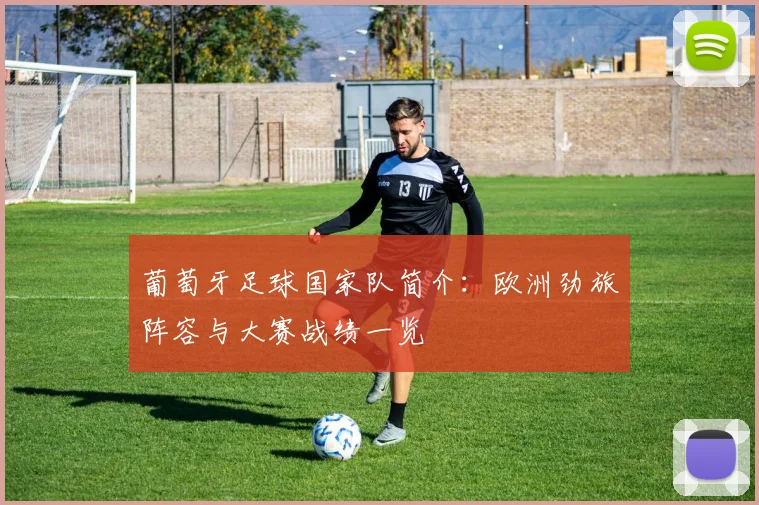 葡萄牙足球国家队简介：欧洲劲旅阵容与大赛战绩一览